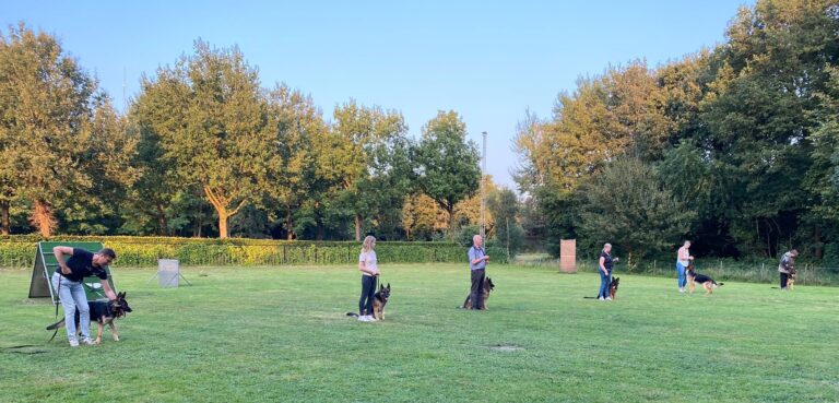 Training met honden bij HDV de Kuil Apeldoorn